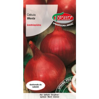 Nasiona Cebula Wenta 3g - Torseed