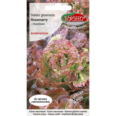 Nasiona Sałata głow.masł.(do upr.w tun.i w polu) Rosemarry 0,5g - Torseed