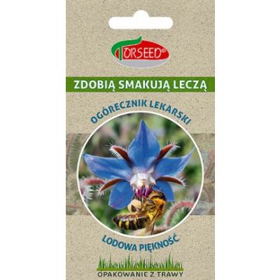 Nasiona Ogórecznik lekarski, Lodowa piękność - Torseed