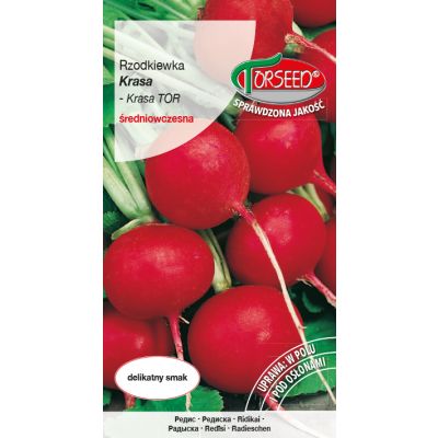 Nasiona Rzodkiewka Krasa 10g - Torseed