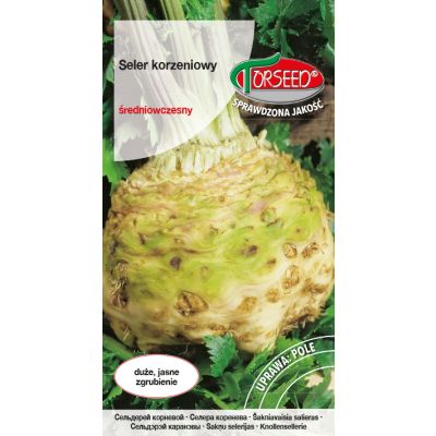 Nasiona Seler korzeniowy Talar 0,5g - Torseed