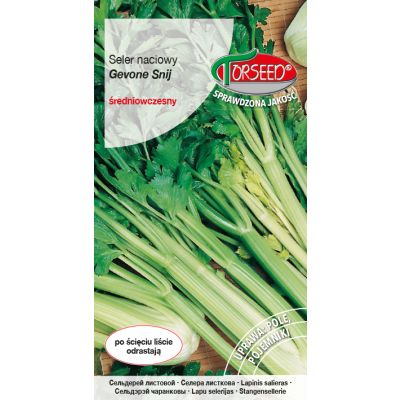 Nasiona Seler naciowy Gewone Snij 0,2g - Torseed