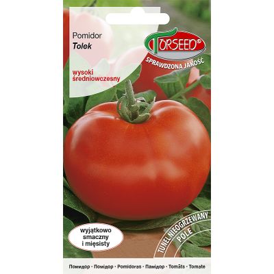 Nasiona Pomidor wysoki Tolek 0,1g - Torseed