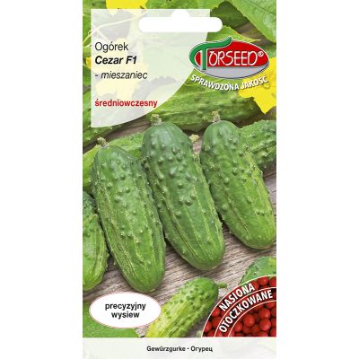 Nasiona Ogórek konserwowy Cezar F1 OTOCZKA 50szt - Torseed