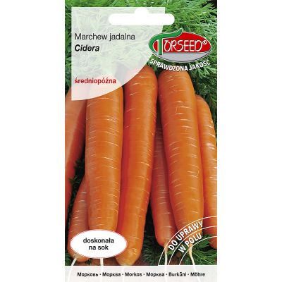 Nasiona Marchew jadalna Cidera 3g - Torseed