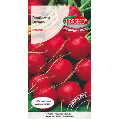 Nasiona Rzodkiewka (do uprawy w polu) Carmen 5g - Torseed