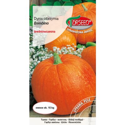 Nasiona Dynia olbrzymia Bambino 5g - Torseed