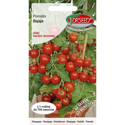 Nasiona Pomidor czereśniowy - Torseed