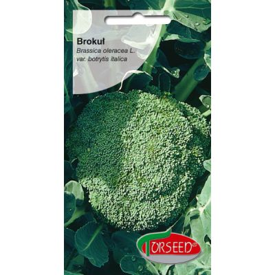 Nasiona Brokuł włoski Sebastian 1g - Torseed