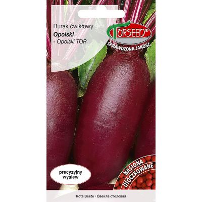 Nasiona Burak ćwikłowy Opolski OTOCZKA 100szt - Torseed