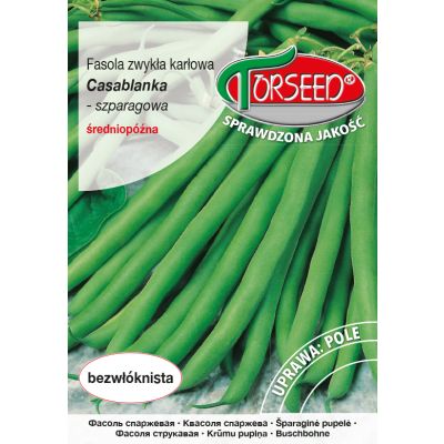 Nasiona Fasola karłowa szparagowa zielonostrąkowa Casablanka 3g - Torseed