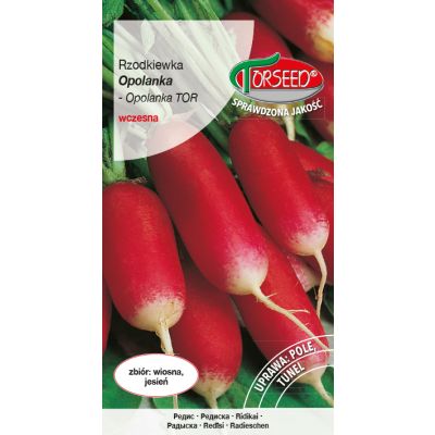 Nasiona Rzodkiewka Opolanka 10g - Torseed