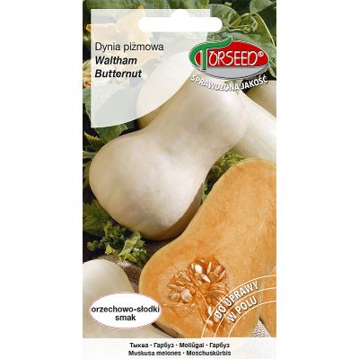 Nasiona Dynia piżmowa Waltham Butternut 3g - Torseed