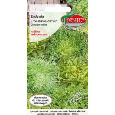 nasiona Endywia mieszanka odmian 2g - Torseed