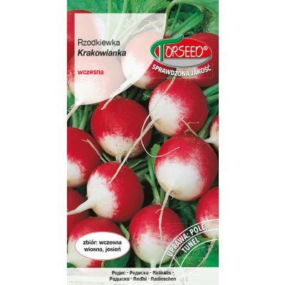 Nasiona Rzodkiewka Krakowianka 10g - Torseed