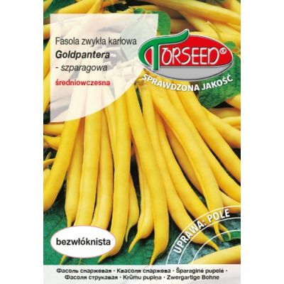 nasiona Fasola szparagowa, zwykła karłowa, Goldpantera 30g - Torseed