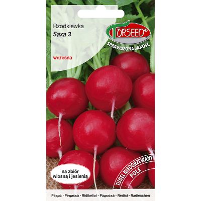 Nasiona Rzodkiewka (do upr.pod osł.i w polu) Saxa 3 10g - Torseed