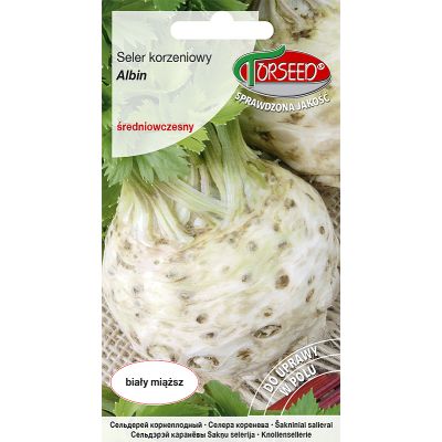 Nasiona Seler korzeniowy Albin 0,5g - Torseed