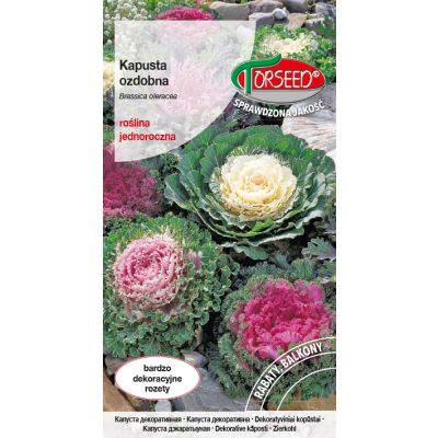 Nasiona Kapusta ozdobna o kolorowych, """"""""fryzowanych"""""""" liściach 0,5g - Torseed