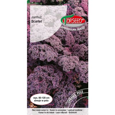 Nasiona Jarmuż Scarlet 1g - Torseed