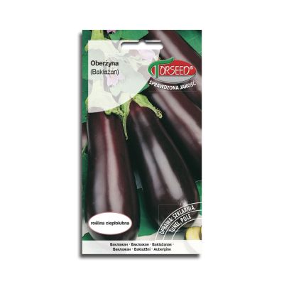 nasiona Oberżyna Black Beauty 0,5g - Torseed