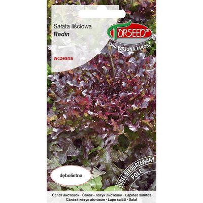 Nasiona Sałata liściowa (do uprawy w polu) Redin 0,5g - Torseed