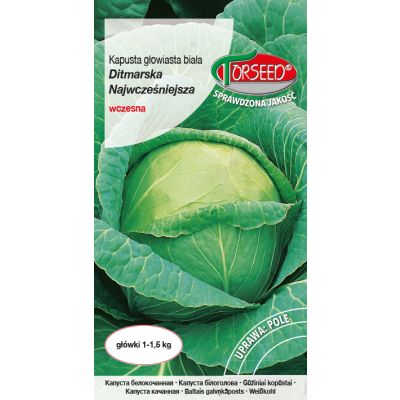 Nasiona Kapusta głowiasta biała Ditmarska Najwcześniejsza 2g - Torseed