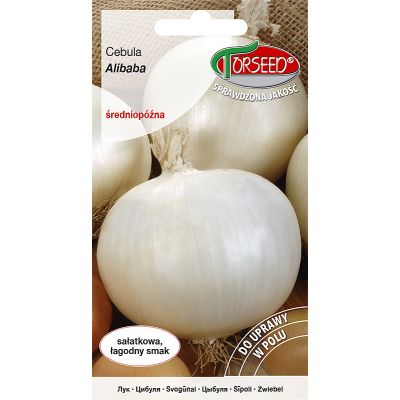 Nasiona Cebula Alibaba 3g - Torseed