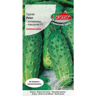 Nasiona Ogórek gruntowy konserwowy Polan F1 3g - Torseed