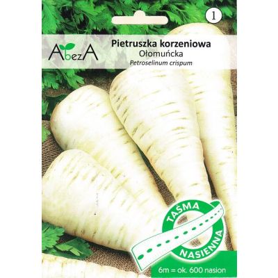 Nasiona Pietruszka korzeniowa Ołomuńcka TAŚMA 600szt - Torseed