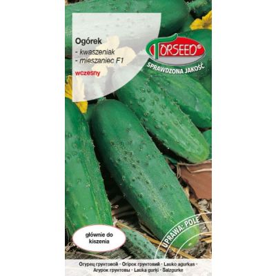 nasiona Ogórek gruntowy kwaszeniak, Julian F1 3g - Torseed
