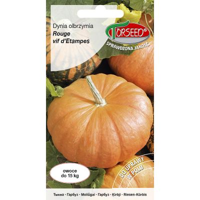 Nasiona Dynia olbrzymia Rouge vif d`Etampes 5g - Torseed