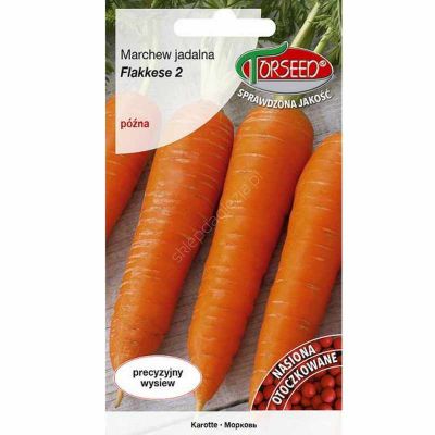 nasiona Marchew Flakkese 2 Flacoro TOR 300 nasion Otoczka - Torseed