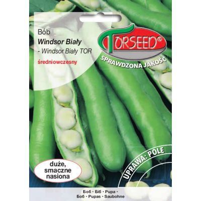 Nasiona Bób Windsor Biały TOR 50g - Torseed