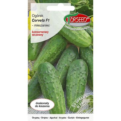Nasiona Ogórek gruntowy do kiszenia kwaszeniak Corveta F1 3g - Torseed