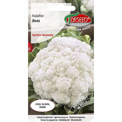 Nasiona Kalafior Beta 1g - Torseed