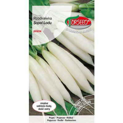 Nasiona Rzodkiewka (do uprawy w polu) Sopel Lodu 10g - Torseed