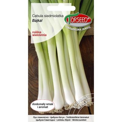 Nasiona Cebula Siedmiolatka Bajkal 0,5g - Torseed