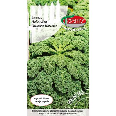 Nasiona Jarmuż Halbhoher Gruener Krauser 1g - Torseed