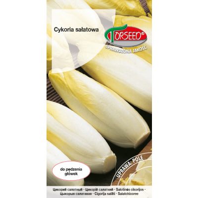Nasiona Cykoria sałatowa Spadona 2g - Torseed