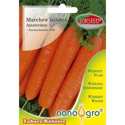Nasiona MarchewAmsterdam 3 - Torseed