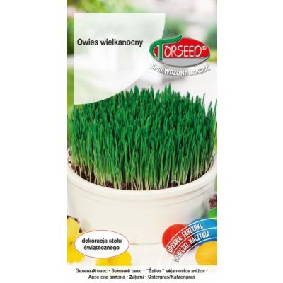 nasiona Owies wielkanocny, """"""""na zielono"""""""" 10g - Torseed