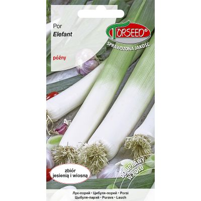 Nasiona Por Elefant 1g - Torseed