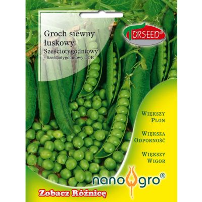 Nasiona Groch siewny Sześciotygodniowy NANO- Torseed