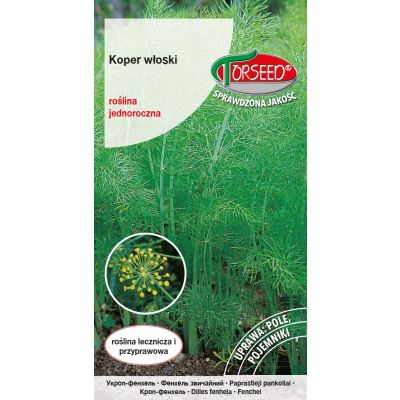nasiona Koper włoski, Foeniculum vulgare 1g - Torseed
