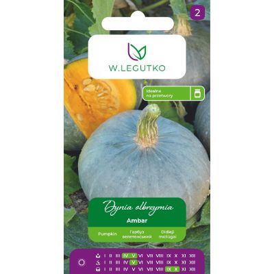 Nasiona Dynia olbrzymia Ambar 3g - W.Legutko
