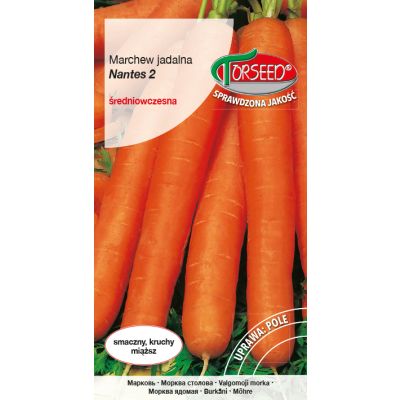 Nasiona Marchew jadalna Nantes2 5g - Torseed