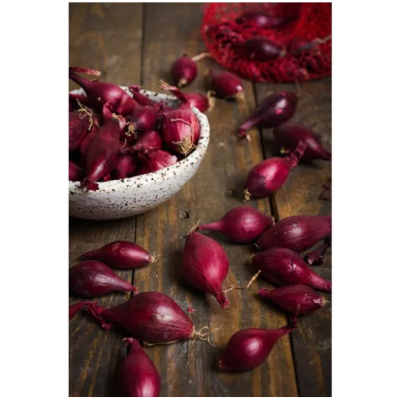 nasiona Cebula dymka czerwona 250g - W,Legutko