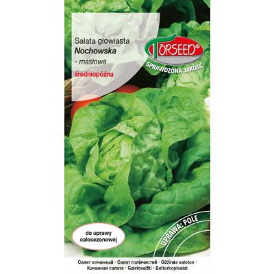 Nasiona Sałata głow.masł.(do upr.w tun.i w polu) Nochowska 1g - Torseed