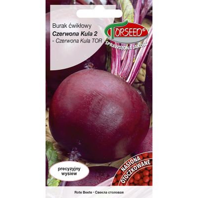 Nasiona Burak ćwikłowy Czerwona Kula 2 OTOCZKA 100szt - Torseed